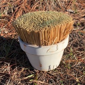 Grass Home Decor